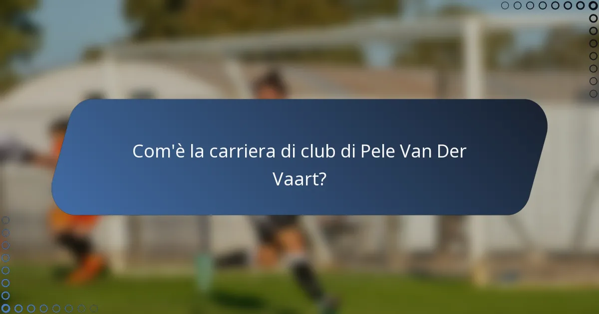 Com'è la carriera di club di Pele Van Der Vaart?